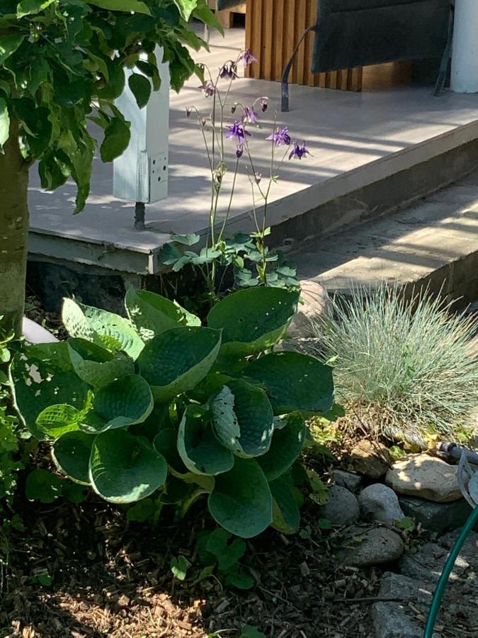 Haus 16 Ferienhaus Zwischen Salzburg Chiemsee Und Waging Am See Kirchanschoring Kültér fotó